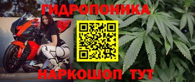 гидра Краснокаменск