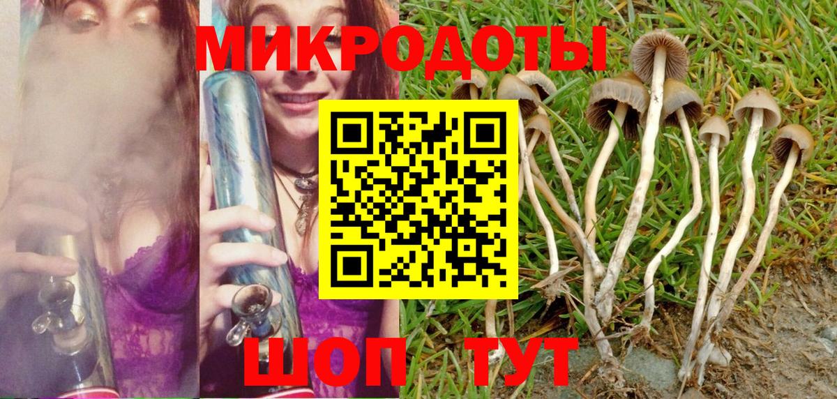 сколько стоит  Вход с VPN  Галлюциногенные грибы Psilocybe  Южноуральск  Псилоцибиновые грибы мицелий 