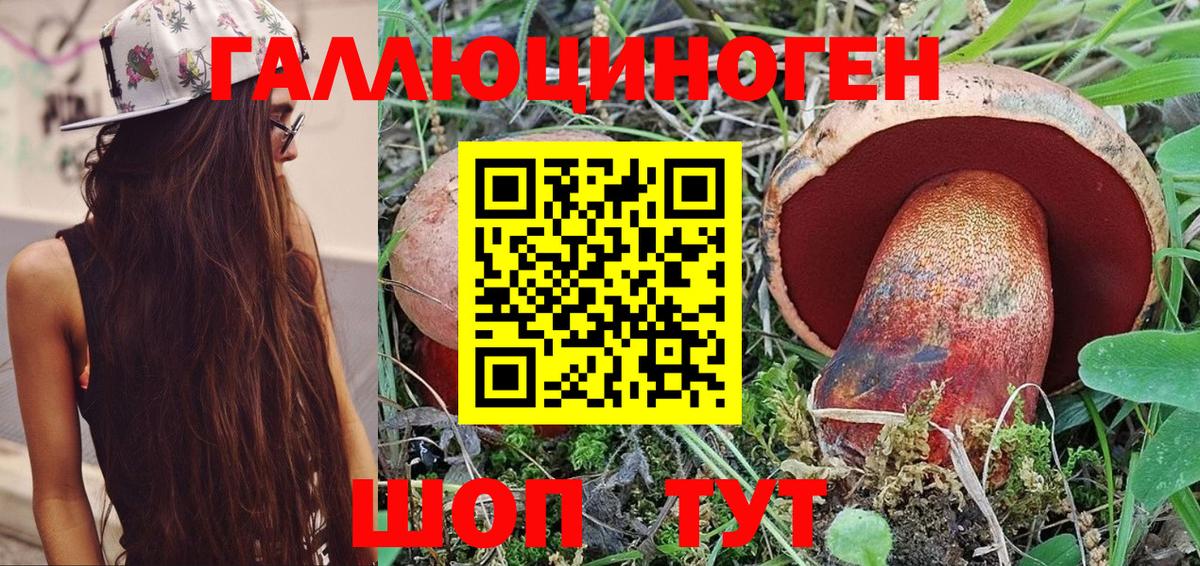 Псилоцибиновые грибы Cubensis Южноуральск